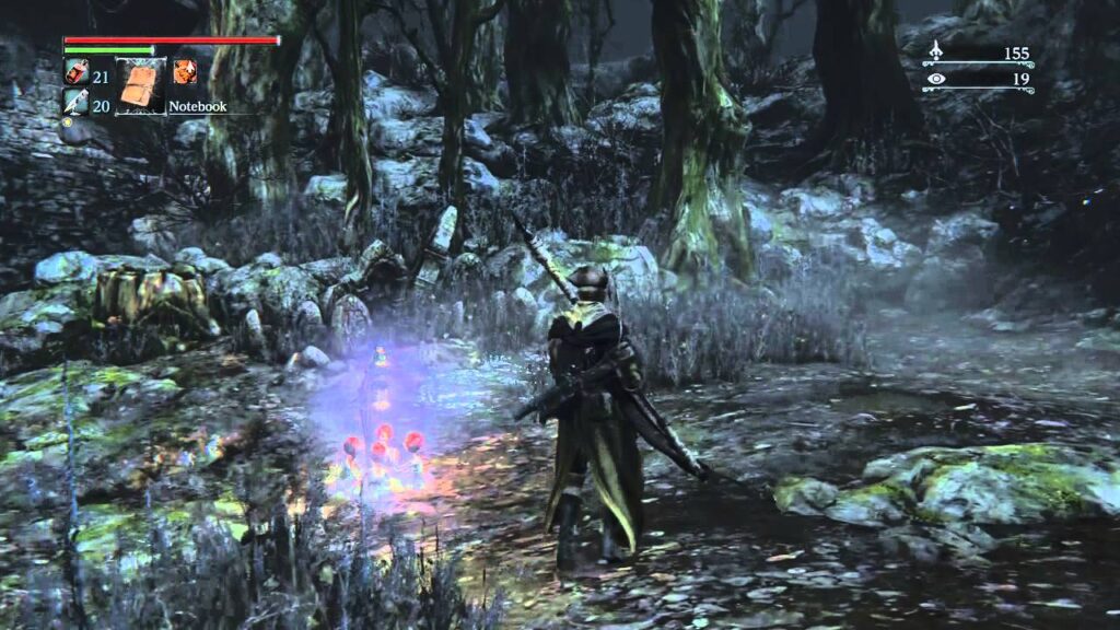 Bloodborne Bois Interdits