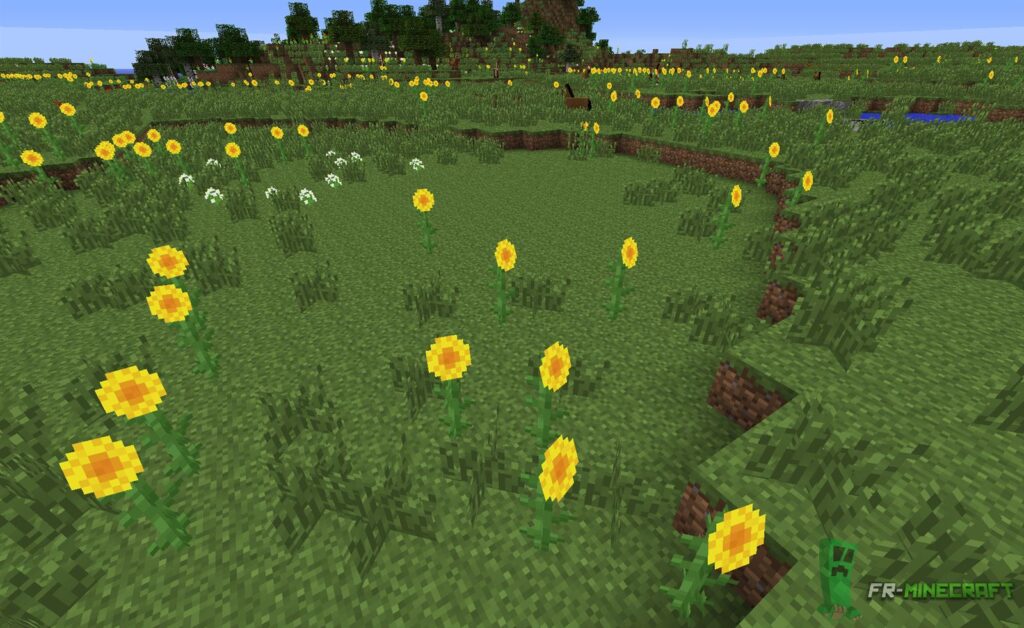 Biome Plaines de tournesols