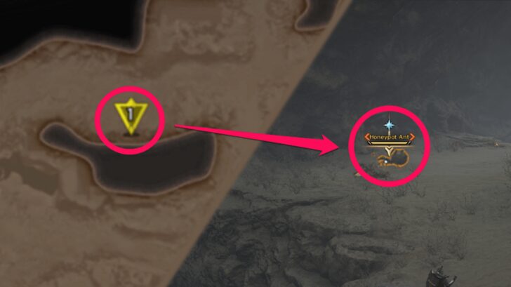 Emplacement Fourmi pot-de-miel 1 Le début du malheur