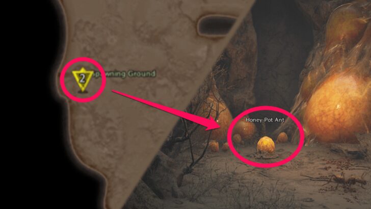 Emplacement Fourmi pot-de-miel 2 Le début du malheur