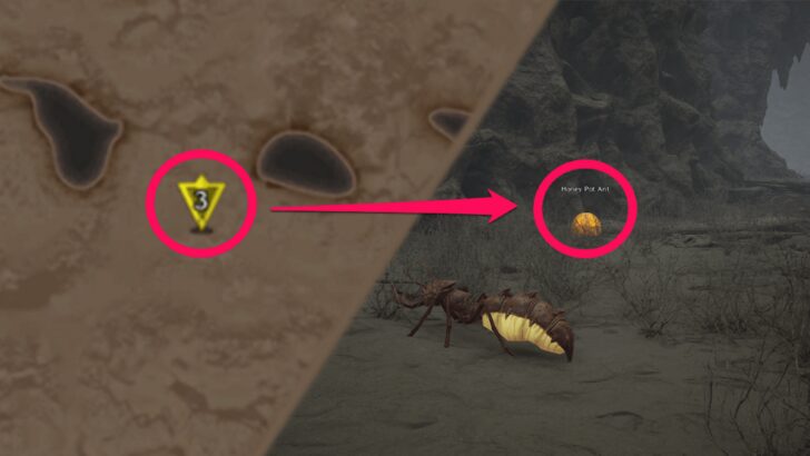 Emplacement Fourmi pot-de-miel 3 Le début du malheur