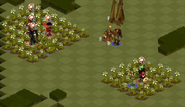 Amy l'empoisonneuse Dofus combat premier tour