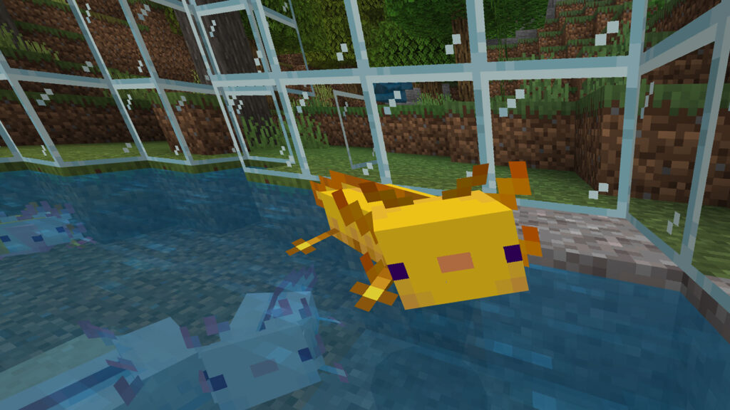 Axolotl Minecraft